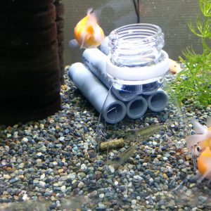 金魚 アクアリウム エンジニアリズム